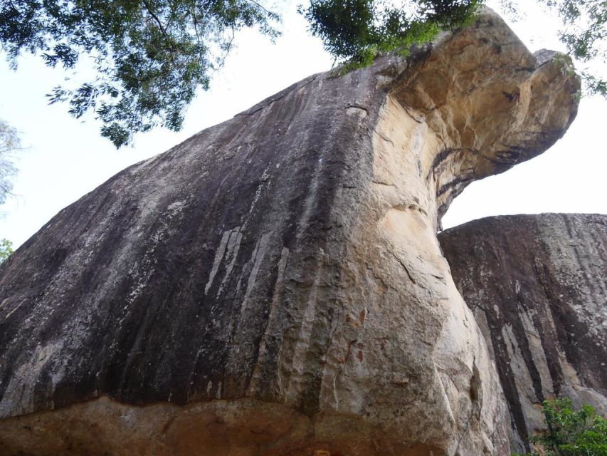 Sigiriya Day Tour | Visit Sigiriya Rock Dambulla Cave Temple - Pickup and Drop-off Locations