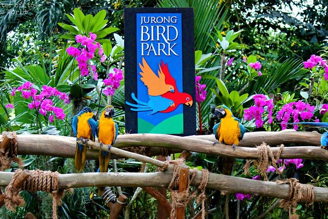 Singapore Bird Paradise & Zoo Full Day (Ticket & Transfer ) - What to Bring