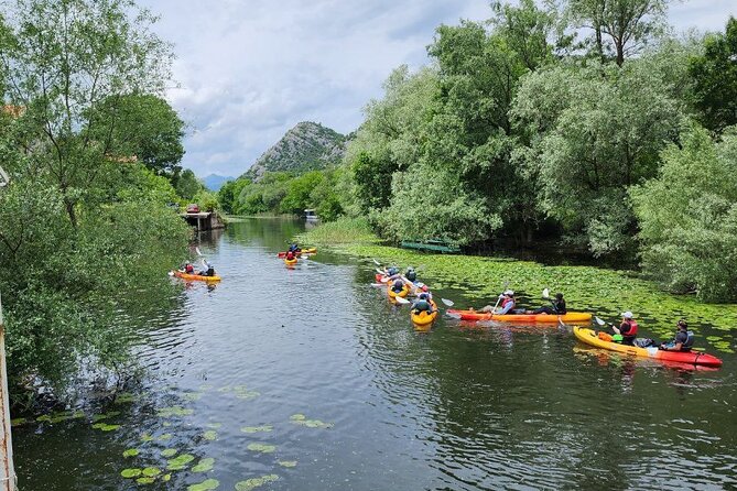 Skadar Lake on Kayaks Experience With Spectacular Views - Safety and Guidance