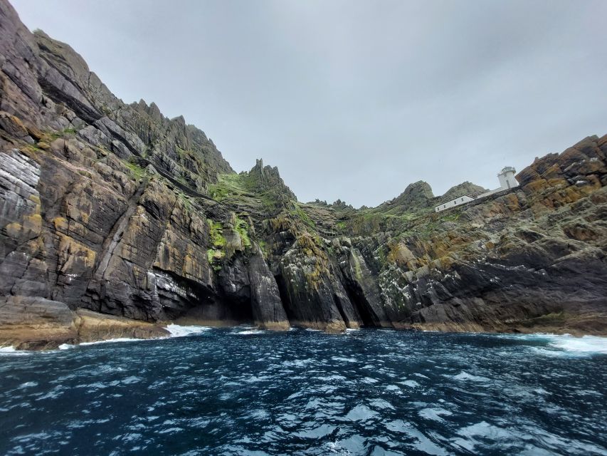 Skellig Michael: The Ultimate Skellig Coast Tour - Customer Feedback