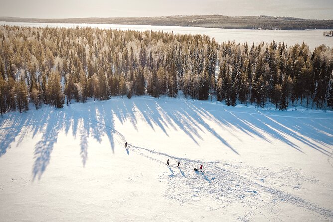 Ski Trekking Safari in Lapland - Health and Accessibility Considerations