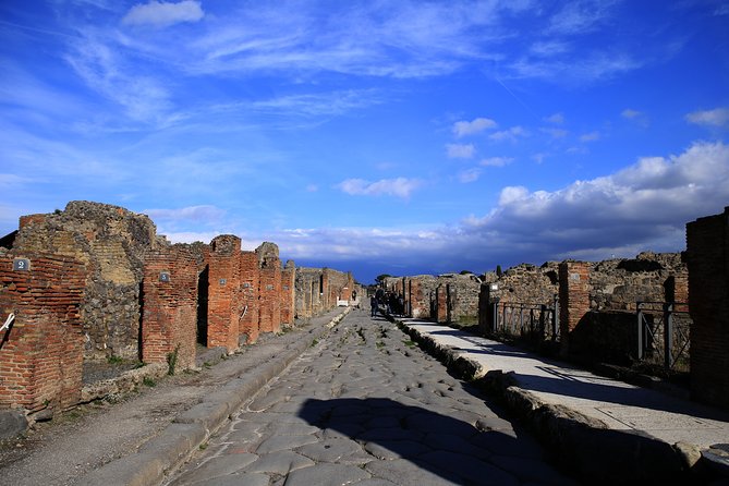 Skip-the-line Exclusive Private Full-Day Complete Ancient Pompeii Guided Tour - Exceptional Guest Reviews