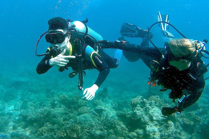 Small-Group Introductory Scuba Diving in Pula - Instructor Feedback and Safety