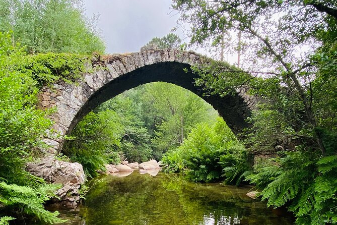 Small Group Mountain Day Trip - Itinerary Highlights