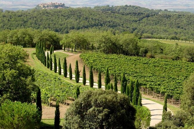 Small Group Pisa Day Trip to Siena and San Gimignano Including Wine Tasting - Booking and Cancellation Policy