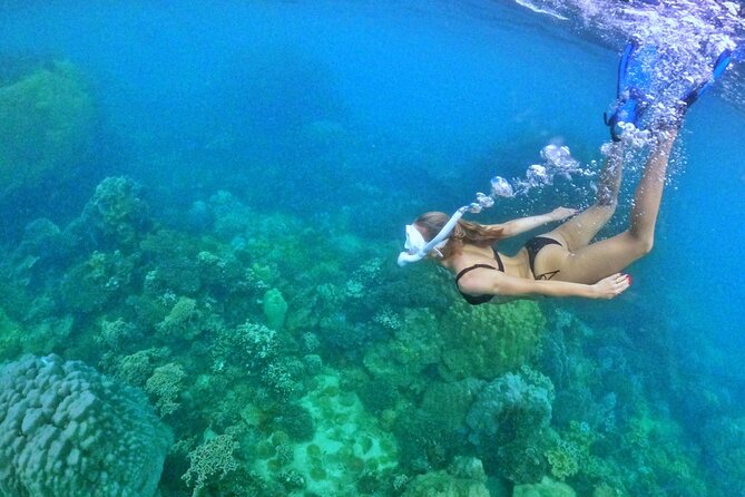 [SMALL-GROUP] SNORKELING & LUNCH - The LARGEST CORAL REEF (Max 9) - Booking Information