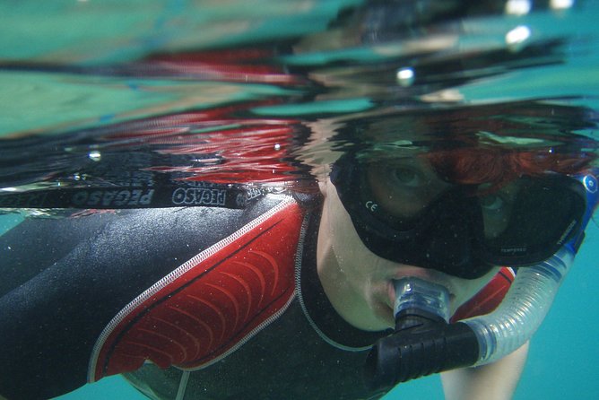 Snorkeling Tour Makarska Riviera, Islands of Hvar or Brač - Snorkeling Destination Comparisons