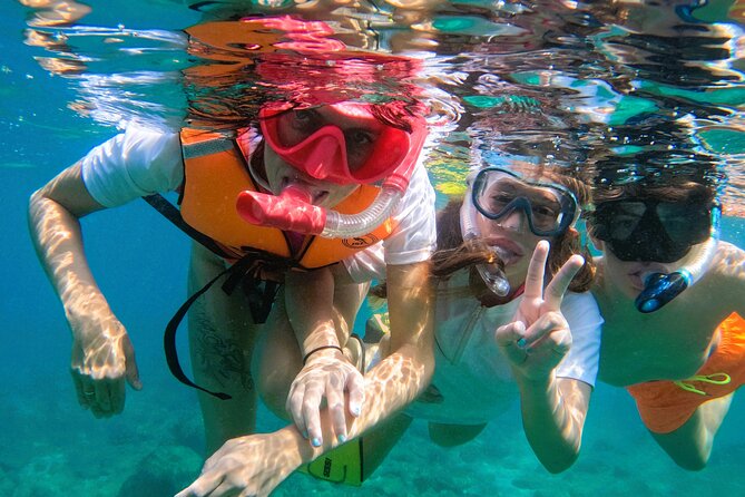 Snorkeling With Turtles in Fujairah With Transfer & BBQ Lunch - Guest Reviews and Feedback