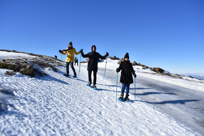 Snowshoe Hiking in Sierra Nevada (Granada) - Cancellation and Refund