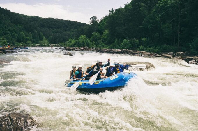 Sri Lanka Hill Country Train, Water Rafting, Jungle Safari - Transportation and Guide