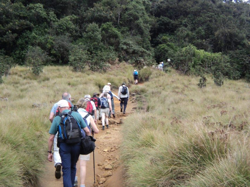 Sri Lanka Holidays With 5 Days Trekking the Pekoe Trail - Arrival and Transfer