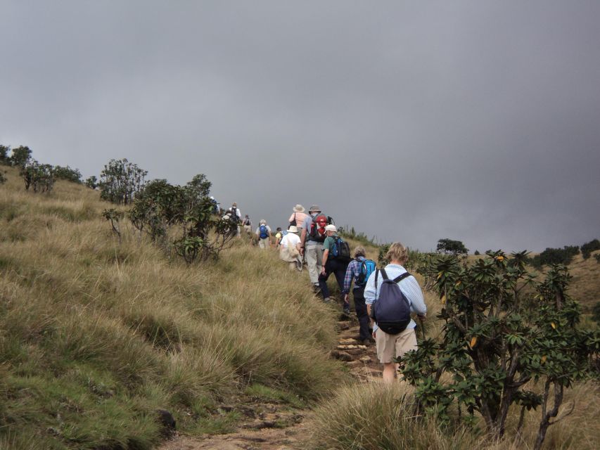 Sri Lanka Holidays With One Week Trekking the Pekoe Trail - Royal Botanic Gardens