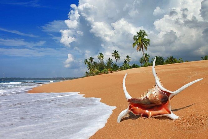 Sri Lanka Tour Itinerary . 6n/7d With Driver, Vehicle and H/B Accommodations - Pricing and Special Offers