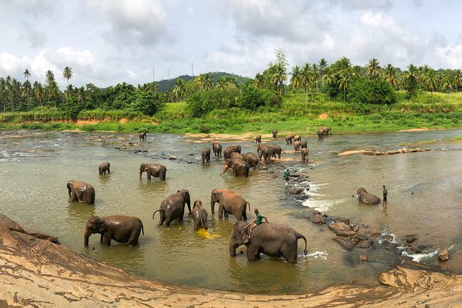 Sri Lanka Tour Package in 05 Nights 06 Days - Booking Information