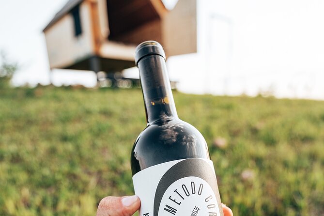 Stellar Picnic: Delight at Sunset in the Tuscan Countryside - Capturing the Sunset Ambiance