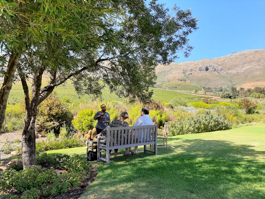 Stellenbosch: Half-Day Guided Nature Hike and Wine Tasting - Preparation and Meeting Details