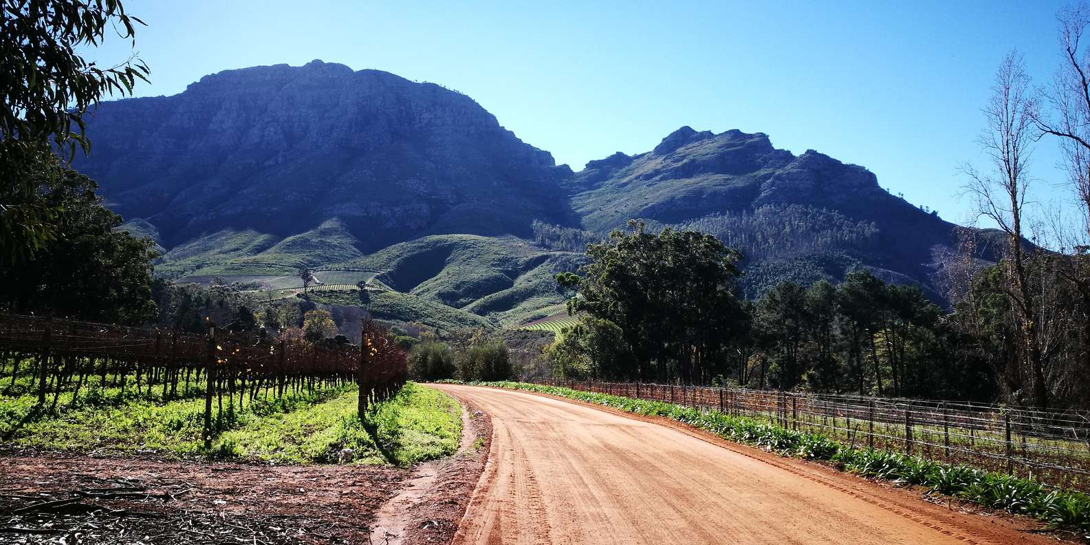 Stellenbosch: Stellenbosch E-Bike & Wine Tour (Shared Tour) - Wine Tasting Experiences