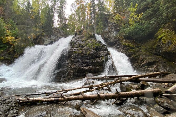 Summer Valley and Forest Hike - What to Bring on the Hike