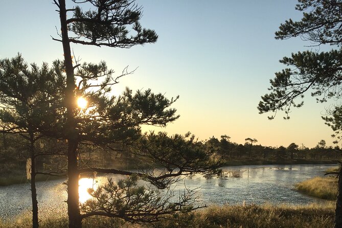 Sunrise at Kemeri National Park - The Sum Up