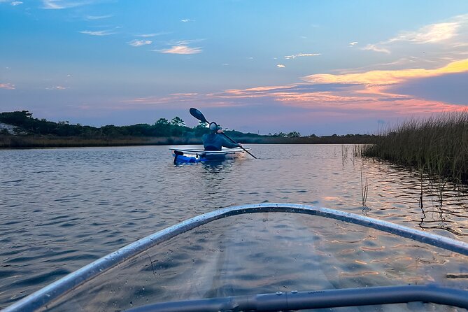 Sunset Clear Kayak Tour Destin Ft. Walton Beach - Wildlife Sightings