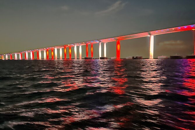 Sunset Cruises-Dolphin Tours-Skyway Bridge Tours-Shelling-Snorkel - Booking Your Experience