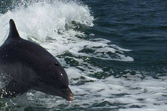 Sunset Dolphin Cruise With Sanibel Lighthouse Views - Age Restrictions and Safety Concerns