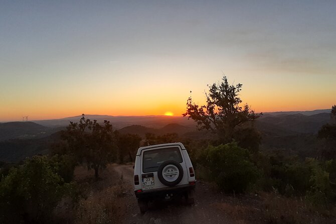 Sunset Safari 4H - What to Expect