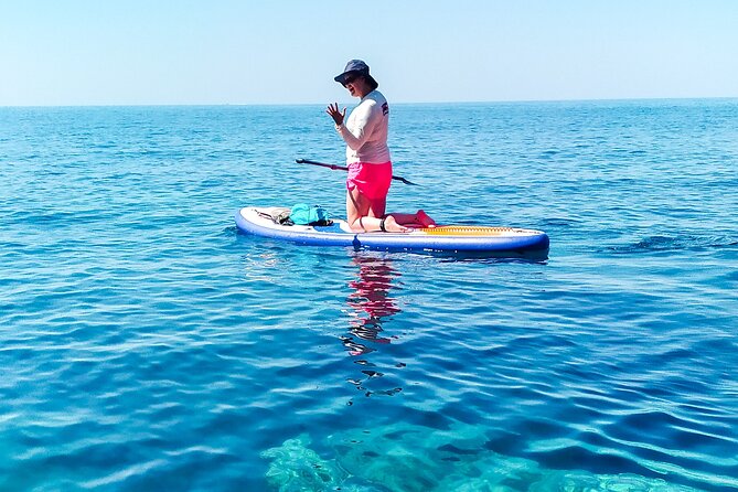 SUP and Snorkeling Experience in Kardamyli - Marine Life Sightings