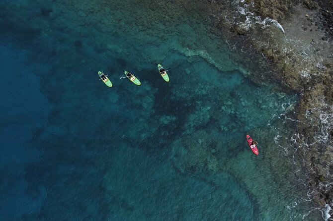SUP Standup Paddling and Snorkeling Shared Experience - Reviews and Ratings