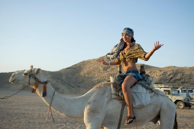 Super Safari Adventure: ATV Quad & Camel Ride & Dinner - Hurghada - Traveler Reviews and Feedback