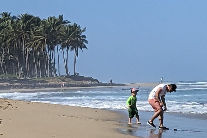 Surfing Experience in Cabarete Dominican Republic - Cabarete Surfing Highlights