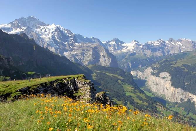 Swiss Alps: Interlaken and Grindelwald Day Trip From Zurich - Grindelwald Adventure