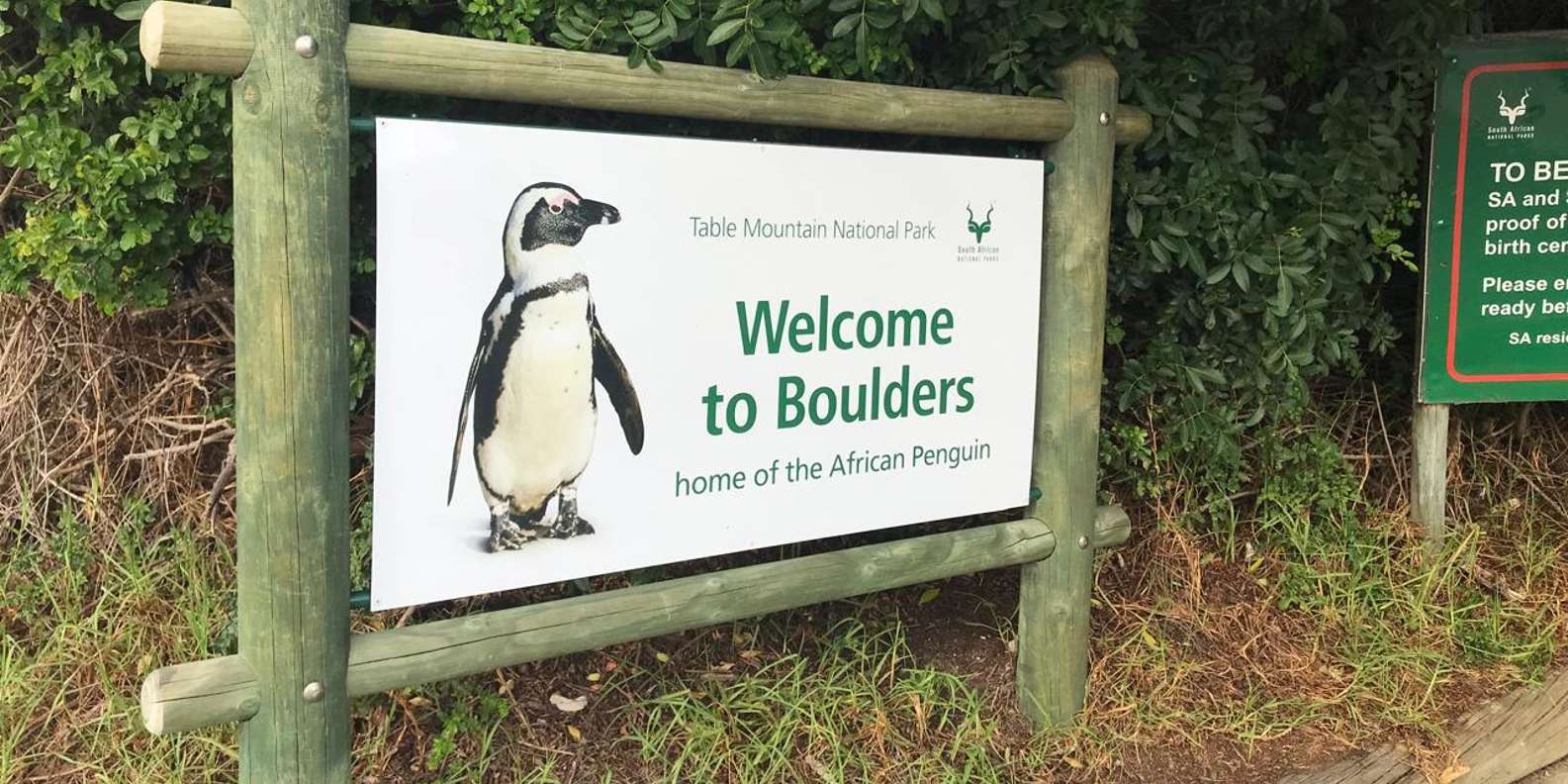 Table Mountain, Cape of Good Hope & African Penguins Tour - Boulders Penguin Colony Visit