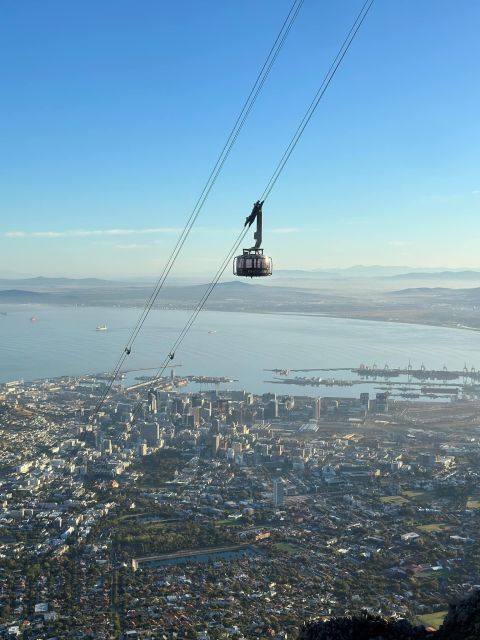 Table Mountain & Cape of Good Hope & Penguins Full Day - Table Mountain Adventure