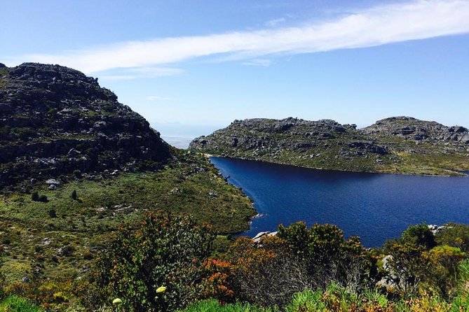 Table Mountain Hike (All Routes) - Private Tour - Cable Car Descent and Return