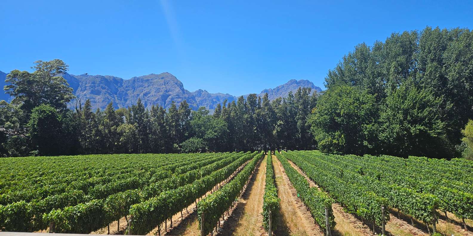 Table Mountain, Historic City & Winelands Private Day Tour. - The Sum Up