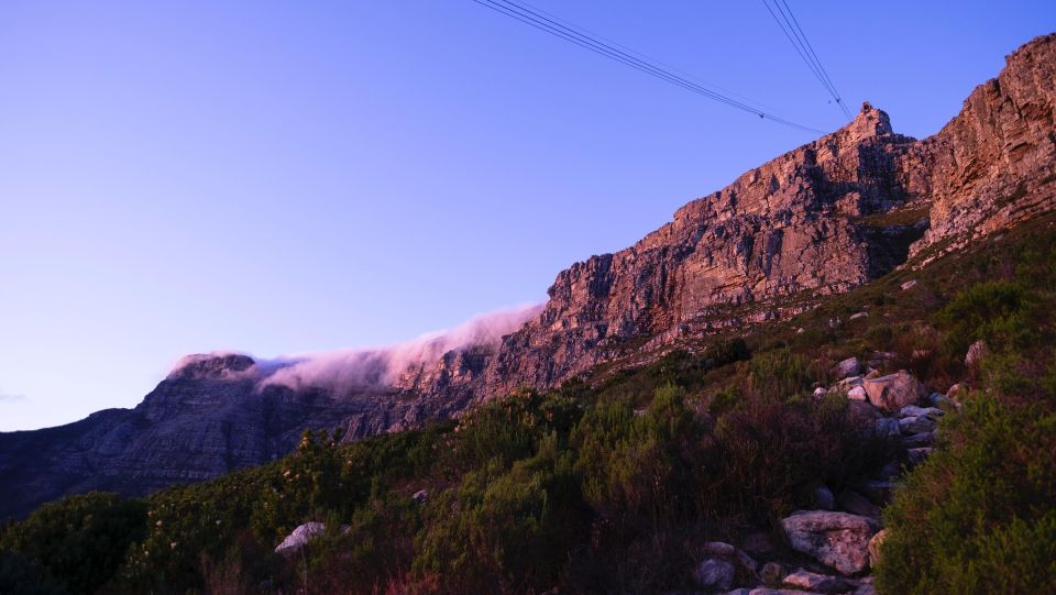 Table Mountain, Penguins & Cape of Good Hope Private Tour - Exploring Cape Point