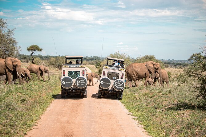 Tanzania Enticing Explorations - 6 Days - Essential Packing Tips