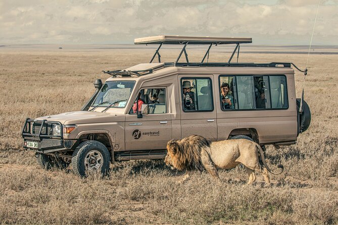 Tanzania Simba Safari - 5 Days - Pricing and Booking Information