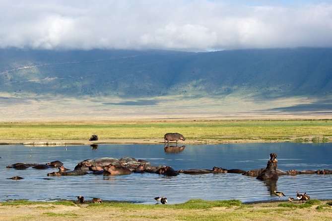Tarangire, Serengeti, Ngorongoro & Lake Manyara Group Safari (5 Days) - Tips for Travelers