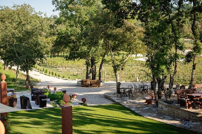 Taste of Istria - Wine, Brandy, Vinegar, Local Food - Visiting Istria
