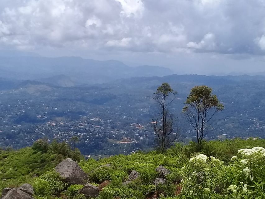 Tea Plantations by Tuk Tuk & Diyaluma Waterfall With Picnic - Significance of Pepper in Sri Lanka