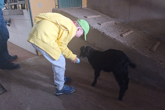 Tenerife Animal Farm Private Car Tour. Canarian Cheese and Wine - Water Gallery Exploration