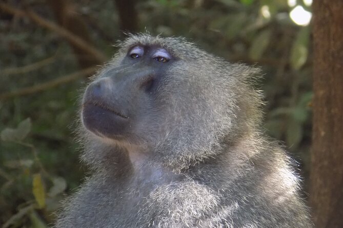 The Amaizing Private Day Trip to the Lovely Arusha National Park - Booking and Cancellation Policy