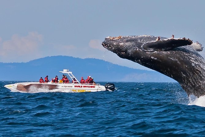 The Isle of The Pearl - 14 Days Tour - Tips for Travelers