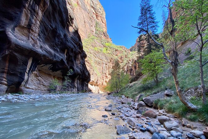 The Narrows: Zion National Park Private Guided Hike - Embracing the Challenges
