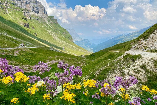 The Natural Wonders of Switzerland: Private Tour From Basel (1 Day) - Positive Guest Feedback
