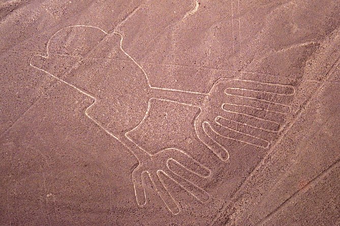 The Nazca Lines Flight Tour & Huacachina Oasis - Private Trip - Transportation and Inclusions