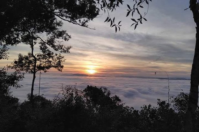 The Ultimate Hiker'S Choice - 5 Days Forest Trek With Homestay and Camping - Participant Experiences and Feedback