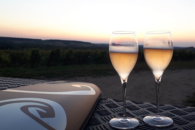 The Unmissable Champagne Tasting Vineyard View of Reims - Positive Guest Review Sentiments